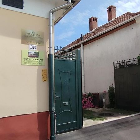 Gecse-Villa Sárospatak 外观 照片